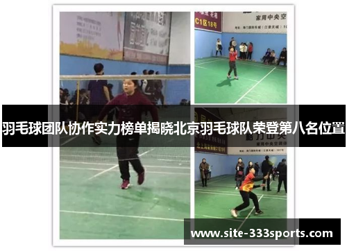 羽毛球团队协作实力榜单揭晓北京羽毛球队荣登第八名位置