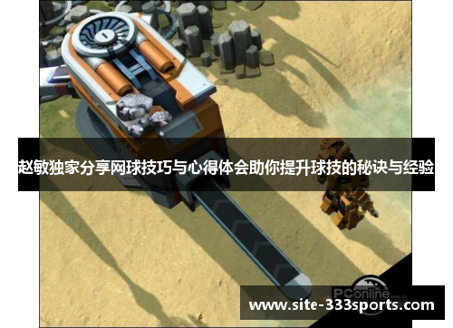赵敏独家分享网球技巧与心得体会助你提升球技的秘诀与经验