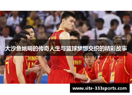 大沙鱼姚明的传奇人生与篮球梦想交织的精彩故事